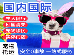 宁波航空邮寄国际宠物托运 【国